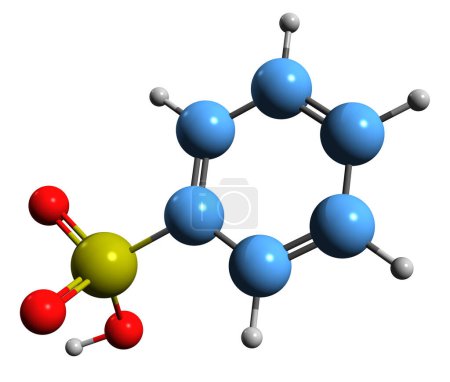 Foto de Imagen 3D de la fórmula esquelética del ácido benzenesulfónico - estructura química molecular del ácido fenilsulfónico aislado sobre fondo blanco - Imagen libre de derechos