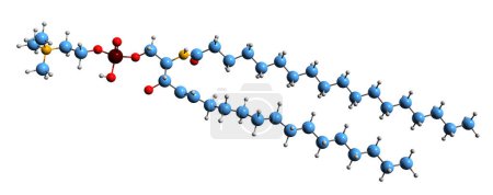 Téléchargez les photos : Image 3D de la formule squelettique sphingolipide structure chimique moléculaire de l'alcool aminé aliphatique exemple isolé sur fond blanc - en image libre de droit