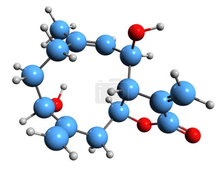 Téléchargez les photos : Image 3D de la formule squelettique Tanahin - structure chimique moléculaire du Sesquiterpène isolé sur fond blanc - en image libre de droit