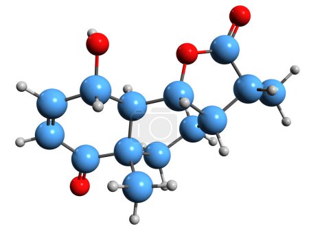Téléchargez les photos : Image 3D de la formule squelettique de taurémizine - structure chimique moléculaire du terpénoïde isolé sur fond blanc - en image libre de droit