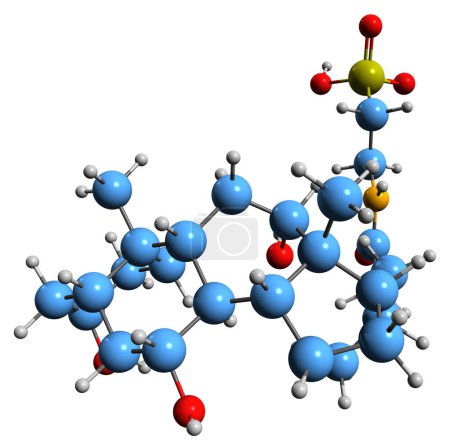 Foto de Imagen 3D de la fórmula esquelética del ácido taurocólico - estructura química molecular del acidum cholatauricum aislado sobre fondo blanco - Imagen libre de derechos