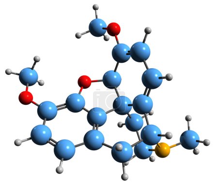 Téléchargez les photos : Image 3D de la formule squelettique de Thebaine - structure chimique moléculaire de la paramorphine isolée sur fond blanc - en image libre de droit