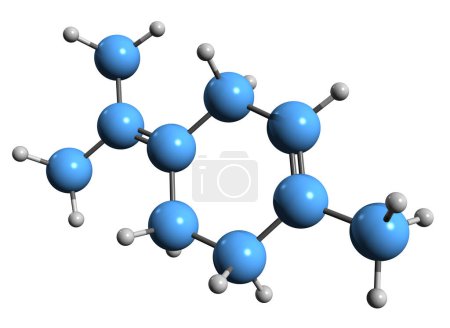 Photo for 3D image of Terpinene skeletal formula - molecular chemical structure of monoterpene isolated on white background - Royalty Free Image