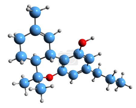 Photo for 3D image of Tetrahydrocannabivarin skeletal formula - molecular chemical structure of homologue of tetrahydrocannabinol isolated on white background - Royalty Free Image
