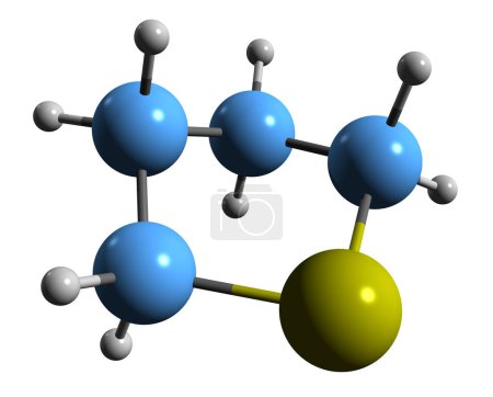 Photo for 3D image of Tetrahydrothiophene skeletal formula - molecular chemical structure of Thiolane isolated on white background - Royalty Free Image
