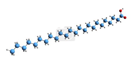 Téléchargez les photos : Image 3D de la formule squelettique de l'acide lignocérique - structure chimique moléculaire de l'acide tétracosanoïque isolé sur fond blanc - en image libre de droit