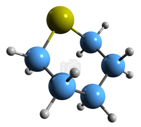 Foto de Imagen 3D de la fórmula esquelética de Thiane - estructura química molecular de Tetrahydro-2H-tiopirano aislado sobre fondo blanco - Imagen libre de derechos