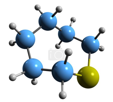 Foto de Imagen 3D de la fórmula esquelética de Thiepane - estructura química molecular del compuesto organosulfuro aislado sobre fondo blanco - Imagen libre de derechos