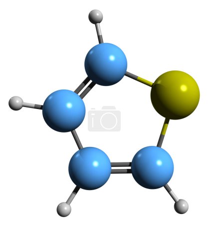 Foto de Imagen 3D de la fórmula esquelética del tiofeno - estructura química molecular del tiaciclopentadieno aislada sobre fondo blanco - Imagen libre de derechos
