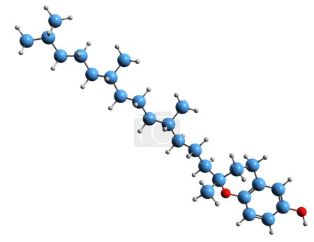 Foto de Imagen 3D de la fórmula esquelética de Tocol - estructura química molecular de D-Desmetiltocoferol aislado sobre fondo blanco - Imagen libre de derechos