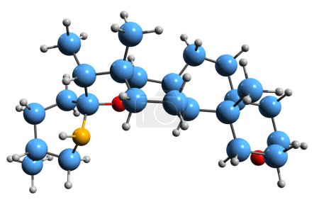 Téléchargez les photos : Image 3D de la formule squelettique Tomatidine - structure chimique moléculaire de phytochimique isolé sur fond blanc - en image libre de droit