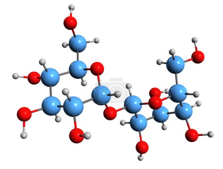 Téléchargez les photos : Image 3D de la formule squelettique de Trehalose - structure chimique moléculaire du mycose disaccharidique isolé sur fond blanc - en image libre de droit