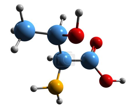 Téléchargez les photos : Image 3D de la formule squelettique de la thréonine - structure chimique moléculaire de l'acide aminé 2-amino-3-hydroxybutanoïque isolé sur fond blanc - en image libre de droit