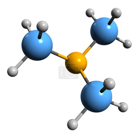 Téléchargez les photos : Image 3D de la formule squelettique Trimethylamine - structure chimique moléculaire du TMA isolé sur fond blanc - en image libre de droit