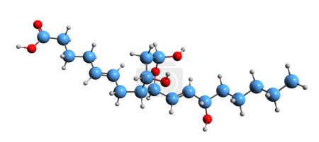 Photo for 3D image of Thromboxane B2 skeletal formula - molecular chemical structure of  eicosanoid isolated on white background - Royalty Free Image