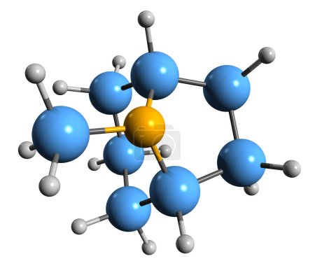 Téléchargez les photos : Image 3D de la formule squelettique Tropane - structure chimique moléculaire du composé organique bicyclique azoté isolé sur fond blanc - en image libre de droit