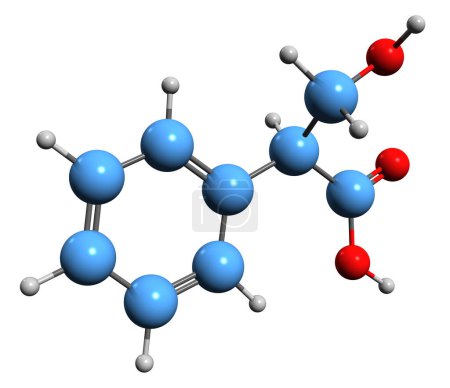 Téléchargez les photos : Image 3D de la formule squelettique de l'acide tropique - structure chimique moléculaire de l'acide 2-phénylhydracrylique isolé sur fond blanc - en image libre de droit