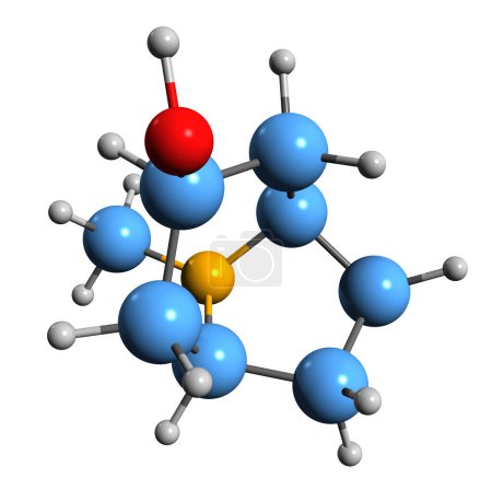 Téléchargez les photos : Image 3D de la formule squelettique Tropine - structure chimique moléculaire de l'alcaloïde Tropanol isolé sur fond blanc - en image libre de droit