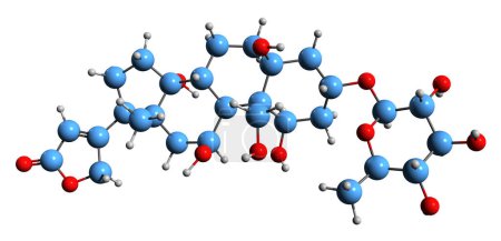 Téléchargez les photos : Image 3D de la formule squelettique Ouabain - structure chimique moléculaire du poison des flèches isolé sur fond blanc - en image libre de droit