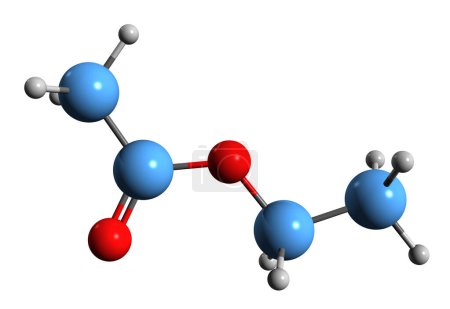 Foto de Imagen 3D de la fórmula esquelética del acetato de etilo - estructura química molecular del etanoato de etilo aislado sobre fondo blanco - Imagen libre de derechos