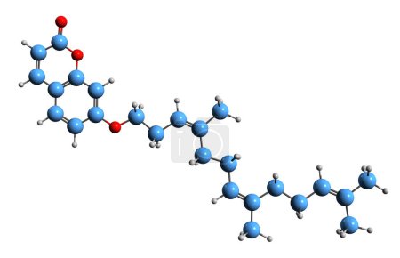 Foto de Imagen 3D de la fórmula esquelética de Umbelliprenin - estructura química molecular de la oxicocumarina aislada sobre fondo blanco - Imagen libre de derechos