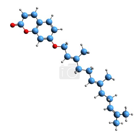 Foto de Imagen 3D de la fórmula esquelética de umbellipreina - estructura química molecular de la oxicocumarina aislada sobre fondo blanco - Imagen libre de derechos