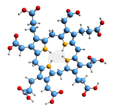 Foto de Imagen 3D de la fórmula esquelética de Uroporphyrinogen I - estructura química molecular del intermediario metabólico aislado sobre fondo blanco - Imagen libre de derechos