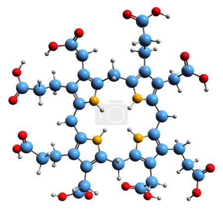 Foto de Imagen 3D de la fórmula esquelética de Uroporphyrinogen III - estructura química molecular del tetrapirrol aislado sobre fondo blanco - Imagen libre de derechos