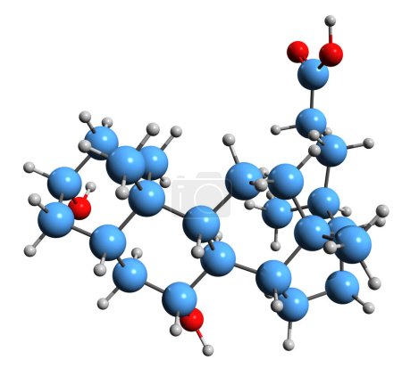 Téléchargez les photos : Image 3D de la formule squelettique de l'acide ursodésoxycholique - structure chimique moléculaire de l'ursodiol isolé sur fond blanc - en image libre de droit