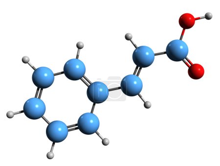 Foto de Imagen 3D de la fórmula esquelética del ácido cinámico - estructura química molecular del ácido fenilacrílico aislado sobre fondo blanco - Imagen libre de derechos