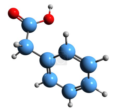 Téléchargez les photos : Image 3D de la formule squelettique de l'acide phénylacétique - structure chimique moléculaire de l'acide benzèneacétique isolé sur fond blanc - en image libre de droit