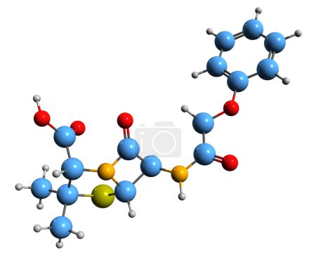 Foto de Imagen 3D de la fórmula esquelética de fenoximetilpenicilina - estructura química molecular de la penicilina V aislada sobre fondo blanco - Imagen libre de derechos