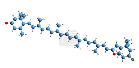 Foto de Imagen 3D de la fórmula esquelética de Flavoxantina - estructura química molecular del pigmento xantofila natural aislado sobre fondo blanco - Imagen libre de derechos