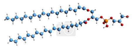 Photo for 3D image of Phosphatidylglycerol skeletal formula - molecular chemical structure of  glycerophospholipid isolated on white background - Royalty Free Image