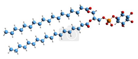 Photo for 3D image of Phosphatidylinositol skeletal formula - molecular chemical structure of  Inositol Phospholipid isolated on white background - Royalty Free Image