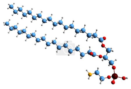Téléchargez les photos : Image 3D de la formule squelettique Phosphatidyléthanolamine - structure chimique moléculaire du phospholipide isolé sur fond blanc - en image libre de droit