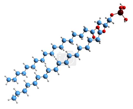 Foto de Imagen 3D de la fórmula esquelética de ácido fosfatídico - estructura química molecular de fosfolípido aniónico aislado sobre fondo blanco - Imagen libre de derechos