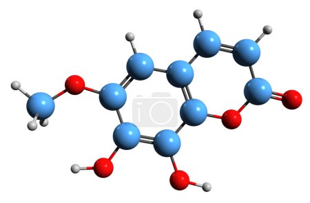 Foto de Imagen 3D de la fórmula esquelética de Fraxetin - estructura química molecular de la hidroxicumarina aislada sobre fondo blanco - Imagen libre de derechos