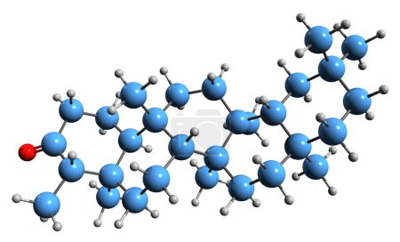 Foto de Imagen 3D de la fórmula esquelética de Friedelin - estructura química molecular del triterpenoide pentacíclico aislado sobre fondo blanco - Imagen libre de derechos