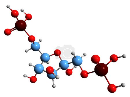 Téléchargez les photos : Image 3D de la formule squelettique du fructose 1 6-bisphosphate - structure chimique moléculaire de l'ester Harden-Young isolé sur fond blanc - en image libre de droit