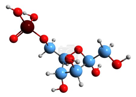 Téléchargez les photos : Image 3D de la formule squelettique fructose 6-phosphate - structure chimique moléculaire de l'ester de Neuberg isolé sur fond blanc - en image libre de droit