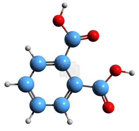 Foto de Imagen 3D de la fórmula esquelética del ácido ftalico - estructura química molecular del ácido benzoico aislado sobre fondo blanco - Imagen libre de derechos