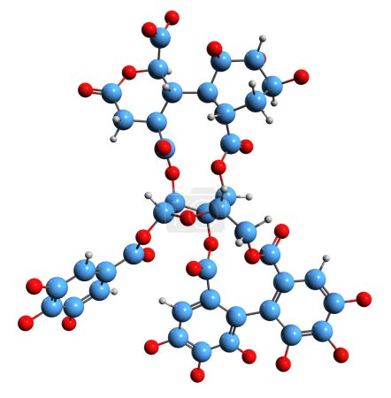 Foto de Imagen 3D de la fórmula esquelética de ácido quebulágico - estructura química molecular del tanino benzopirano aislado sobre fondo blanco - Imagen libre de derechos