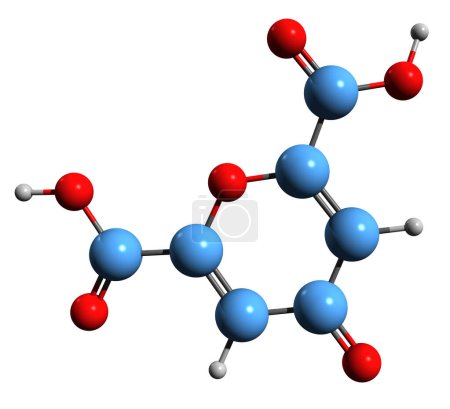 Téléchargez les photos : Image 3D de la formule squelettique de l'acide chélidonique - structure chimique moléculaire de l'acide organique hétérocyclique isolé sur fond blanc - en image libre de droit