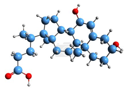 Téléchargez les photos : Image 3D de la formule squelettique de l'acide chénodésoxycholique - structure chimique moléculaire de l'acide biliaire isolé sur fond blanc - en image libre de droit