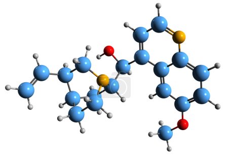 Foto de Imagen 3D de la fórmula esquelética de quinidina: estructura química molecular del agente antiarrítmico de clase IA aislado sobre fondo blanco - Imagen libre de derechos