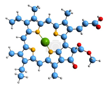 Téléchargez les photos : Image 3D de la formule squelettique de la chlorophylle c1 - structure chimique moléculaire du pigment photosynthétique isolé sur fond blanc - en image libre de droit