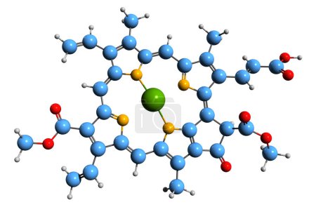 Foto de Imagen 3D de la fórmula esquelética de la clorofila c3 - estructura química molecular del pigmento fotosintético aislado sobre fondo blanco - Imagen libre de derechos