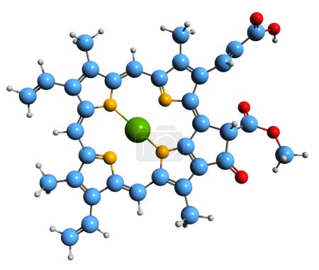 Foto de Imagen 3D de la fórmula esquelética de la clorofila c2 - estructura química molecular del pigmento fotosintético aislado sobre fondo blanco - Imagen libre de derechos