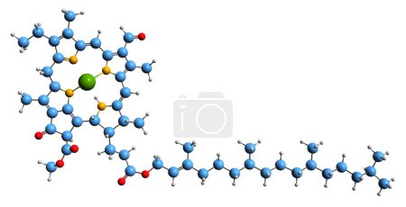 Foto de Imagen 3D de la fórmula esquelética de la clorofila d - estructura química molecular del pigmento fotosintético aislado sobre fondo blanco - Imagen libre de derechos